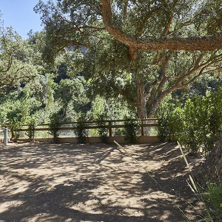 توسا ذي مار Pola Giverola Camp المظهر الخارجي الصورة