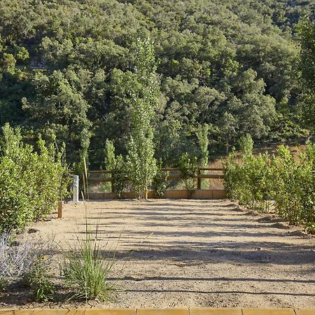 توسا ذي مار Pola Giverola Camp المظهر الخارجي الصورة