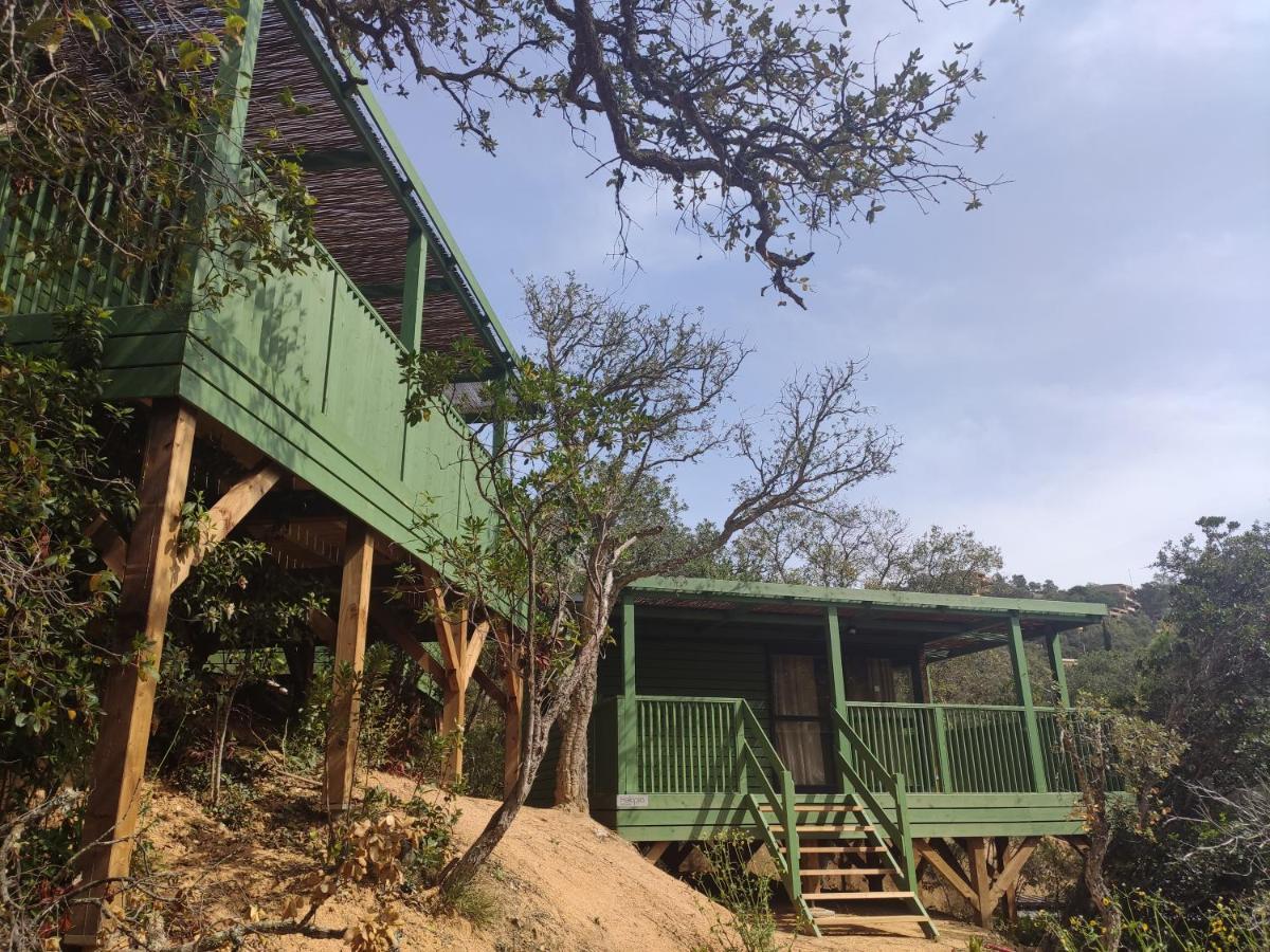 توسا ذي مار Pola Giverola Camp المظهر الخارجي الصورة