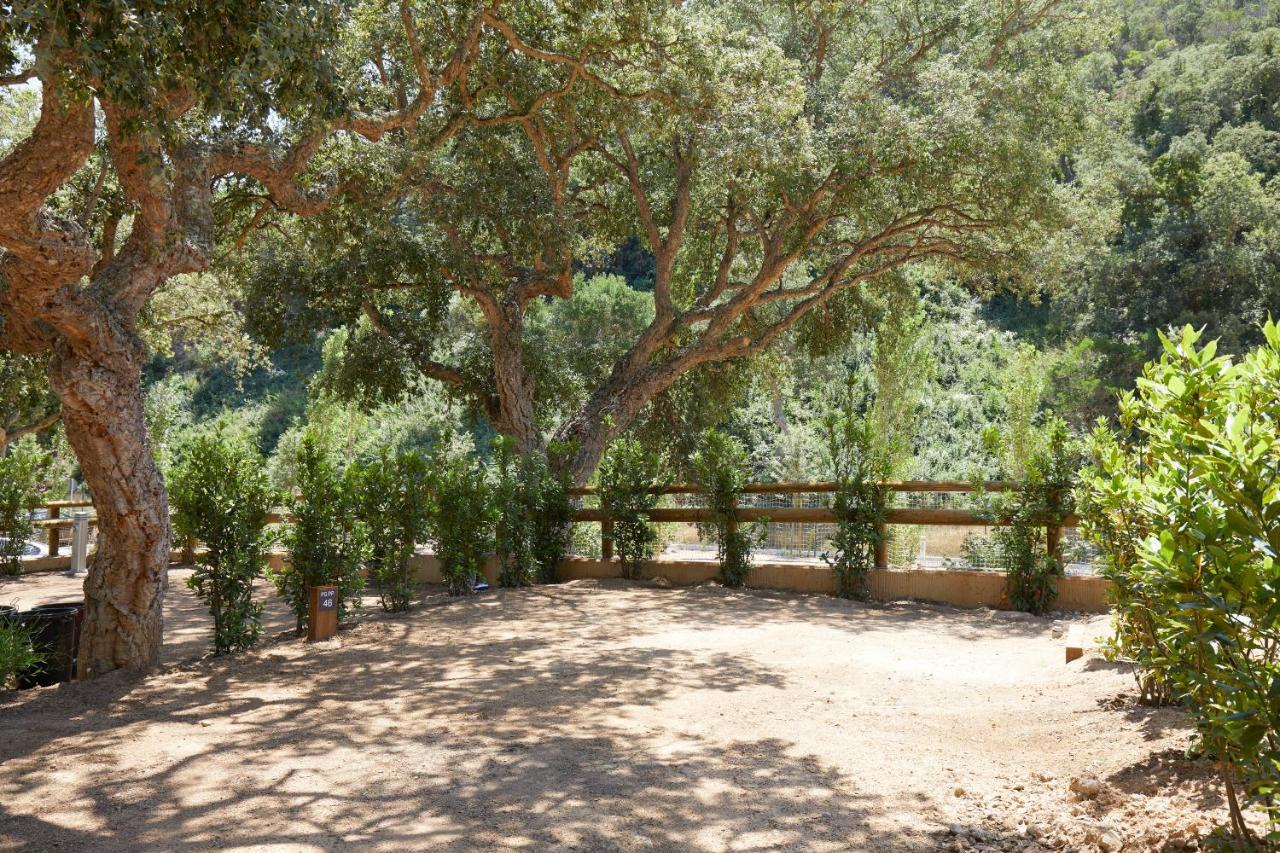 توسا ذي مار Pola Giverola Camp المظهر الخارجي الصورة